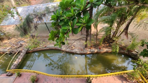GREEN FINCH LAKE VIEW GARDEN RESIDENCY Alquiler vacacional in Vypin