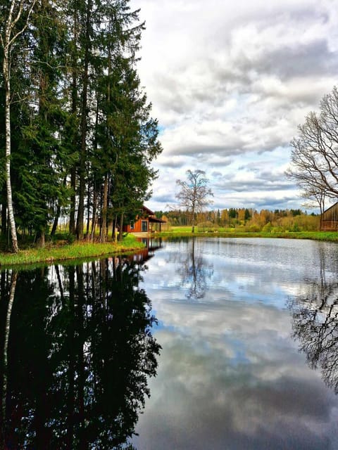 Spring, Day, Natural landscape, Lake view