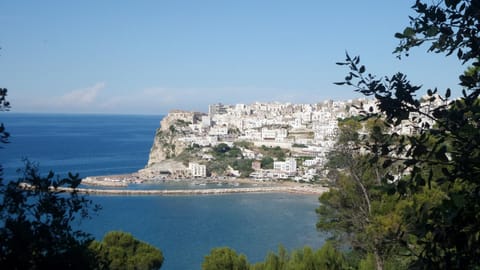 Gargano Hotel Helios Hotel in Rodi Garganico