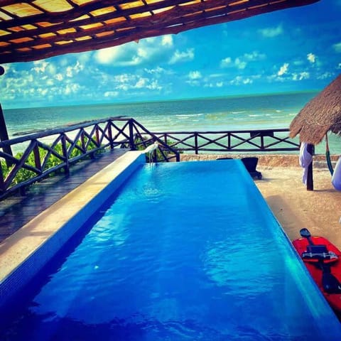 Casa Libelula Beachfront House Villa in Holbox