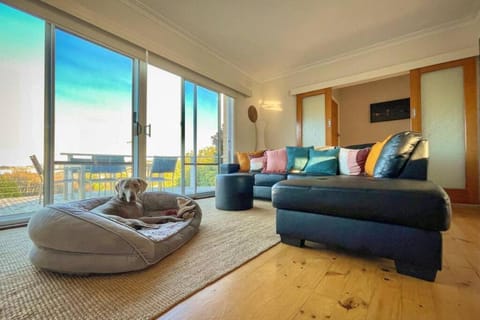 Saltwater Haven - Pets Welcome. Wifi. Amazing View House in Apollo Bay