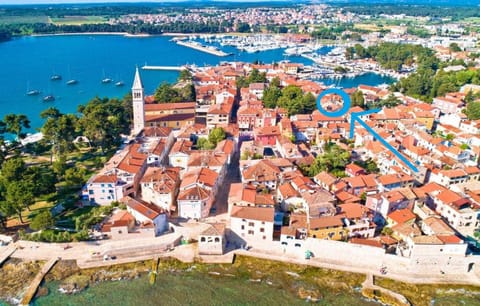Apartment Novigrad Apartment in Novigrad
