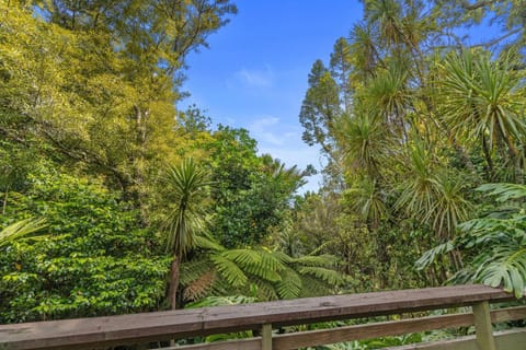 Treetop Sanctuary - Titirangi Holiday Home House in Auckland