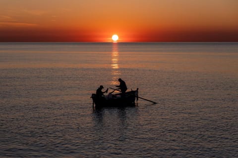 Fishing, Sunrise