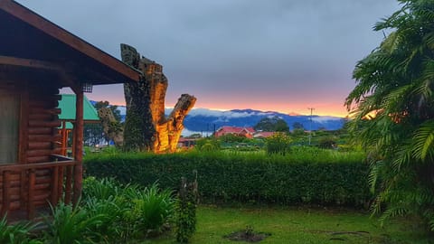 Garden, Bedroom, Sunset