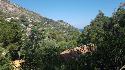 Natural landscape, Mountain view