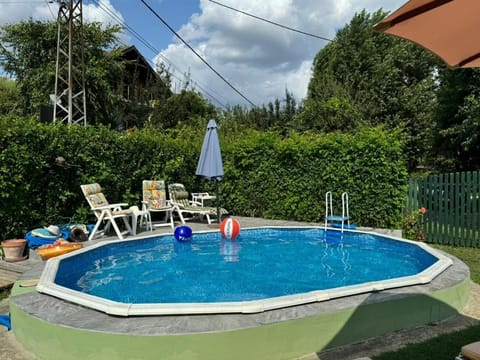 Danube Villa with swimming pool Villa in Novi Sad