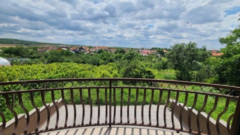 American Stay Vacation rental in Timiș County