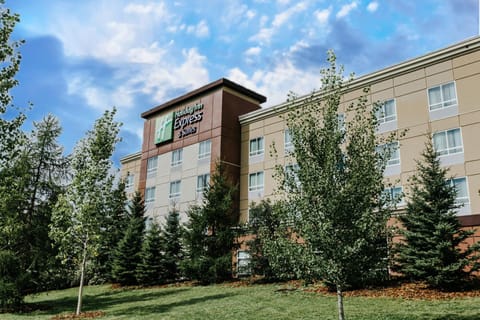 Holiday Inn Express & Suites Spruce Grove - Stony Plain, an IHG Hotel Hotel in Spruce Grove