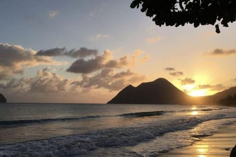 Natural landscape, Beach, Sunset