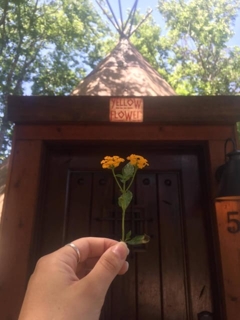 Yellow Flower - Tipi 5 House in Canyon Lake