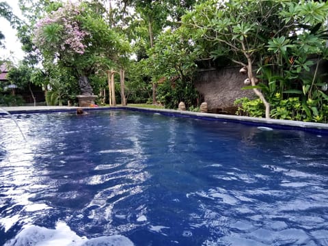 Decorative detail, Pool view, Swimming pool