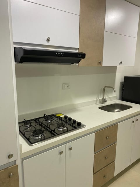 Kitchen or kitchenette, minibar, pet friendly, stove