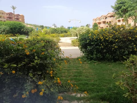 3kTravel rentel Appartement in South Sinai Governorate