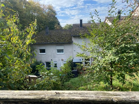 Property building, Natural landscape, Garden