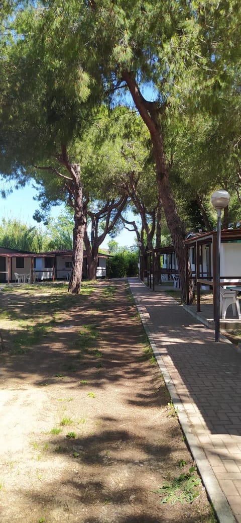 Villaggio Costa d'Argento Campground/ 
RV Resort in Abruzzo