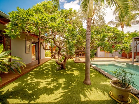 Garden, Garden view, Pool view, Swimming pool