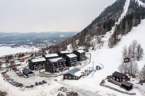 Property building, Bird's eye view, Winter, Skiing, View (from property/room), Lake view, Mountain view, Parking