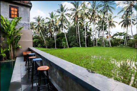 Harmony House 5. Just Built! 2 min Ubud Center Bed and Breakfast in Ubud