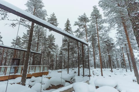 Invisible Forest Lodge Albergue natural in Rovaniemi