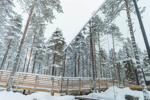 Invisible Forest Lodge Nature lodge in Rovaniemi