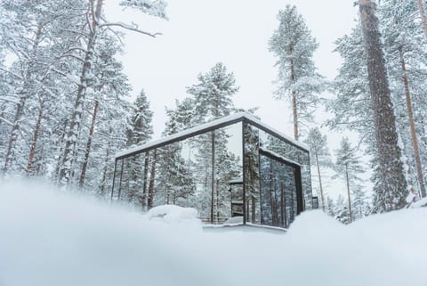 Invisible Forest Lodge Nature lodge in Rovaniemi