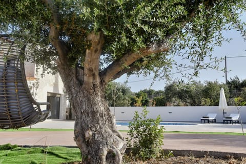 Garden, Swimming pool