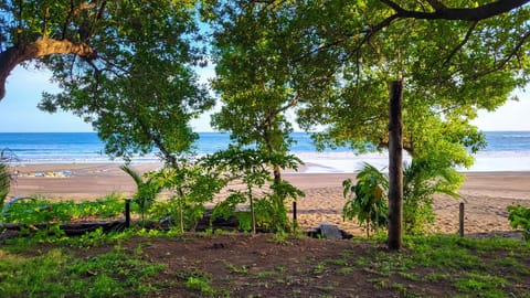 Garden, Beach