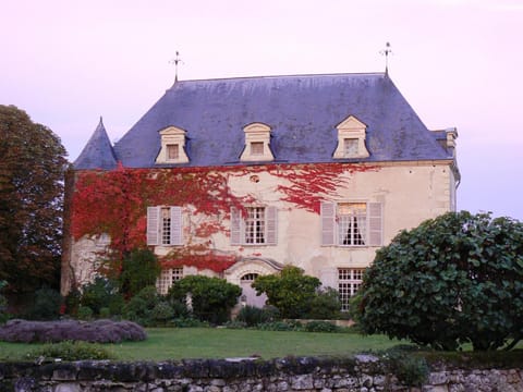 Gite Chateau de Chaintres House in Saumur