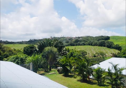 Garden view, Garden view