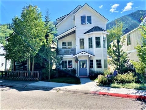 You will love this Brand New Mountain Contemporary Home House in Telluride