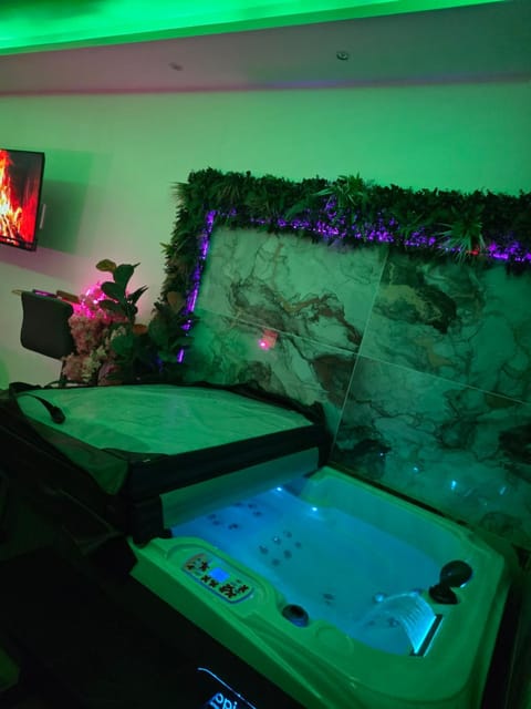 So'Spa appart' jacuzzi & bien-être Apartment in Ortenau