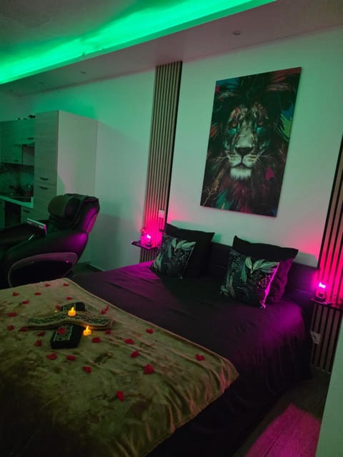 So'Spa appart' jacuzzi & bien-être Apartment in Ortenau