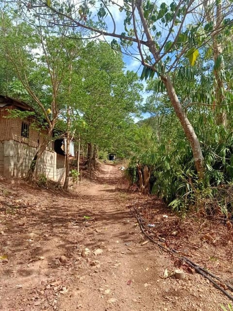 HOME of ELLAI House in Coron