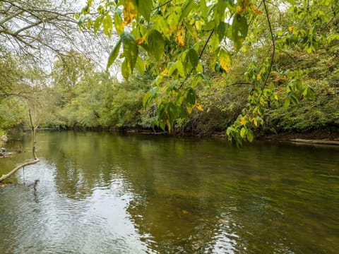 Life on the River at the Cabin Maison in Ellijay