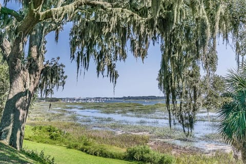 Historic Home Overlooking the Beaufort River Located on Bay St - Sleeps 10 House in Beaufort