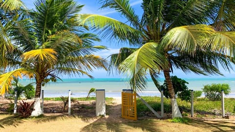 Natural landscape, Garden, Beach, Sea view