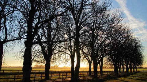 Natural landscape, Sunrise