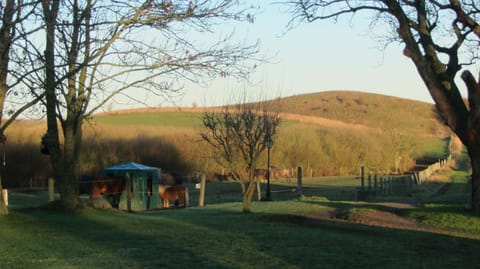 Spring, Natural landscape, Garden view