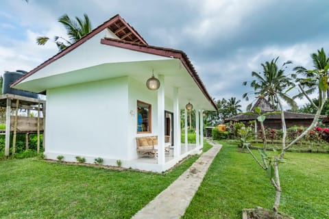 Property building, Garden, Garden view