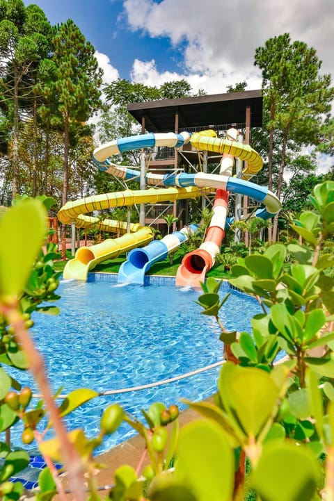 Aqua park, Swimming pool