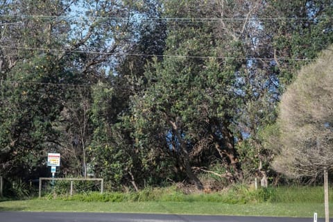 Dream Weaver House in Bawley Point