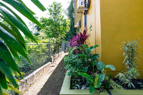 Garden, Balcony/Terrace