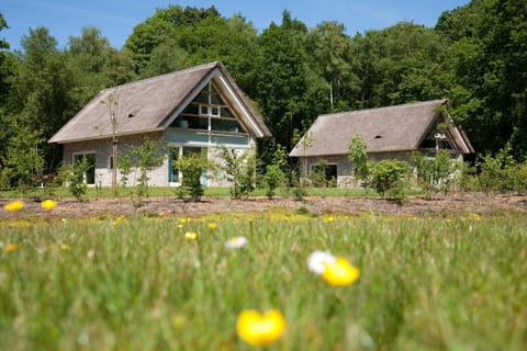 Property building, Natural landscape