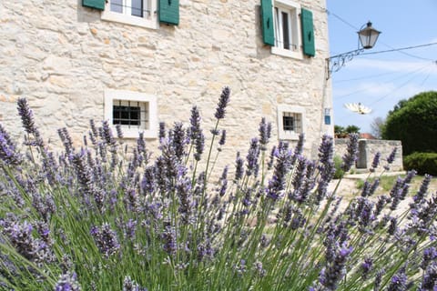 Property building, Garden, Garden view