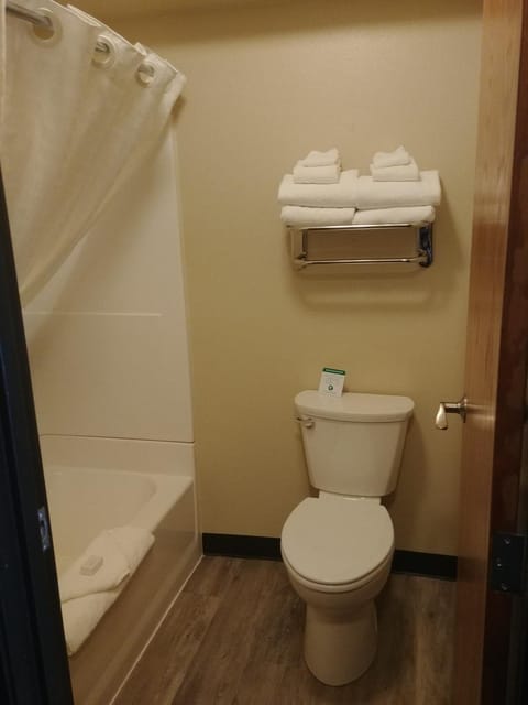 Toilet, Bathroom, towels