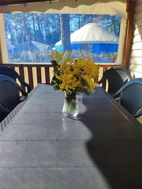 Patio, Dining area