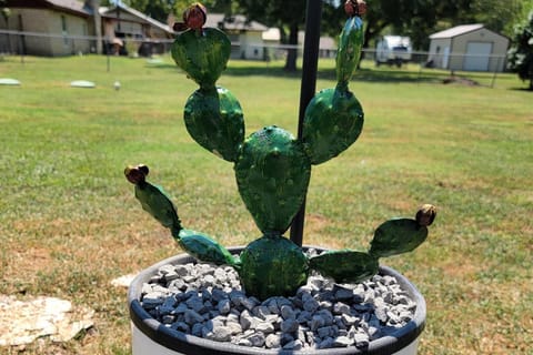 Eclectic Country Home House in Leander