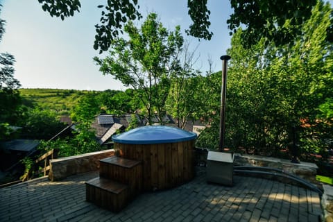 Pensiunea Casa Dacilor Bed and Breakfast in Cluj County