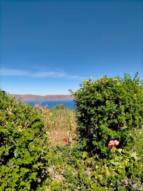 Spring, Day, Natural landscape, Lake view